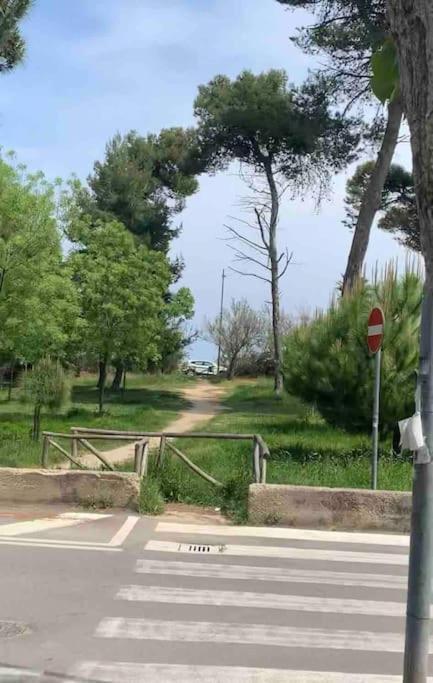Appartamento Casa Vacanze Montesilvano Marina Екстериор снимка